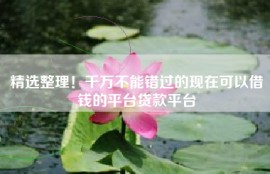 精选整理！千万不能错过的现在可以借钱的平台贷款平台