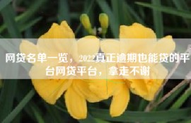 网贷名单一览，2022真正逾期也能贷的平台网贷平台，拿走不谢