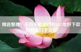 精选整理！千万不能错过的2022年好下款的网贷口子贷款