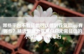 哪些平台不看征信可以借到钱贷款app有哪些？精选整理分享黑白户无需征信的小额贷款借款平台