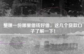 整理一份哪里借钱好借，这几个贷款口子了解一下！