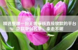 精选整理一份无需审核直接放款的平台贷款平台名单，拿走不谢