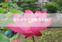 综合评分不足是怎么回？
