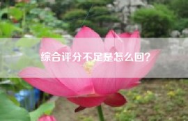 综合评分不足是怎么回？