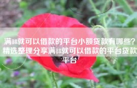 满18就可以借款的平台小额贷款有哪些？精选整理分享满18就可以借款的平台贷款平台