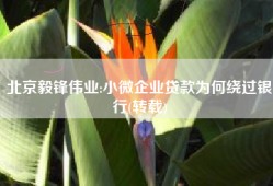 北京毅锋伟业:小微企业贷款为何绕过银行(转载)