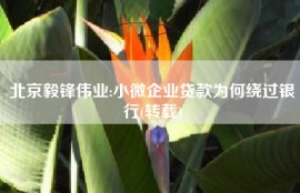 北京毅锋伟业:小微企业贷款为何绕过银行(转载)