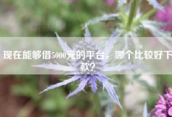 现在能够借5000元的平台，哪个比较好下款？