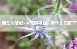 现在能够借5000元的平台，哪个比较好下款？