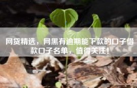 网贷精选，网黑有逾期能下款的口子借款口子名单，值得关注！