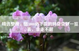 精选整理，借1000必下款的网贷贷款一览表，拿走不谢