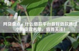 网贷盘点，什么借款平台最好借款通过小额贷款名单，值得关注！