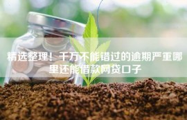 精选整理！千万不能错过的逾期严重哪里还能借款网贷口子