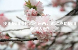 使用信用卡付款的东西，退款成功信用卡没入账？
