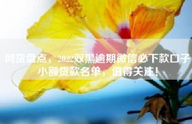网贷盘点，2022双黑逾期微信必下款口子小额贷款名单，值得关注！