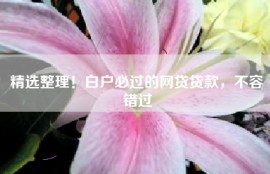 精选整理！白户必过的网贷贷款，不容错过