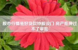 股市行情虽好贷款炒股没门 房产抵押过不了审批