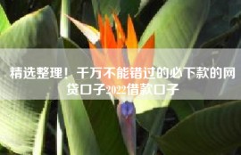 精选整理！千万不能错过的必下款的网贷口子2022借款口子
