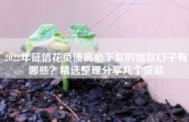 2022年征信花负债高必下款的借款口子有哪些？精选整理分享几个贷款