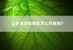 公积金贷款额度怎么样查询？