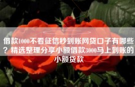 借款1000不看征信秒到账网贷口子有哪些？精选整理分享小额借款3000马上到账的小额贷款