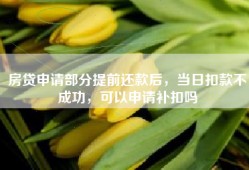 房贷申请部分提前还款后，当日扣款不成功，可以申请补扣吗