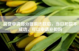 房贷申请部分提前还款后，当日扣款不成功，可以申请补扣吗