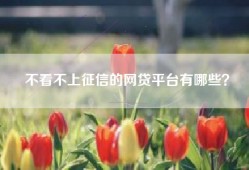 不看不上征信的网贷平台有哪些？