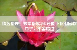 精选整理！频繁借款2022还能下款的借款口子，不容错过
