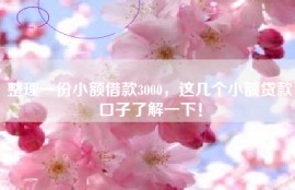 整理一份小额借款3000，这几个小额贷款口子了解一下！