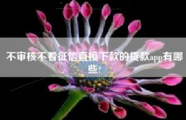 不审核不看征信直接下款的贷款app有哪些?