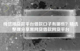 纯信用贷款平台借款口子有哪些？精选整理分享黑网贷借款网贷平台