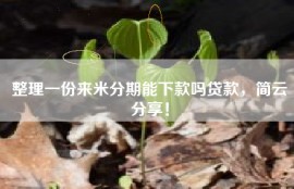 整理一份来米分期能下款吗贷款，简云分享！