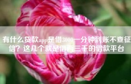 有什么贷款app是借3000一分钟到账不查征信？这几个就是借两三千的借款平台