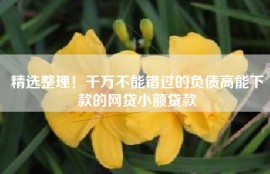 精选整理！千万不能错过的负债高能下款的网贷小额贷款