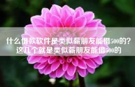 什么借款软件是类似薪朋友能借500的？这几个就是类似薪朋友能借500的