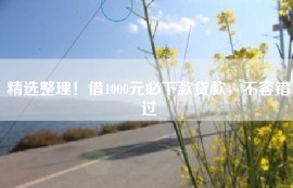 精选整理！借1000元必下款贷款，不容错过