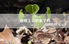你用上公积金了吗