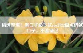 精选整理！黑口子必下款app2022盘点借款口子，不容错过