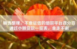 精选整理，不查征信的借款平台百分百通过小额贷款一览表，拿走不谢