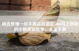 精选整理一份不看征信借款5000马上到账的小额贷款名单，拿走不谢