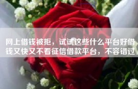 网上借钱被拒，试试这些什么平台好借钱又快又不看征信借款平台，不容错过