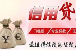 申请信用贷款利率最低的机构是哪家？信用贷款最多能贷多少？