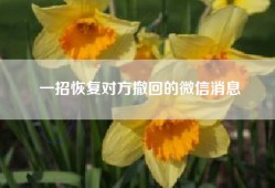 一招恢复对方撤回的微信消息