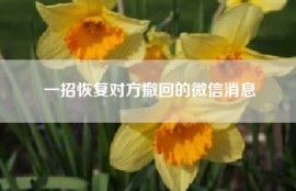 一招恢复对方撤回的微信消息