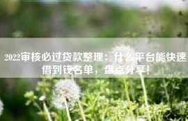2022审核必过贷款整理：什么平台能快速借到钱名单，盘点分享！