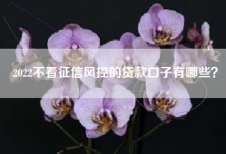 2022不看征信风控的贷款口子有哪些？