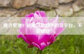 精选整理！双黑贷款口子网贷平台，不容错过