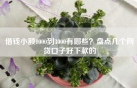 借钱小额1000到3000有哪些？盘点几个网贷口子好下款的