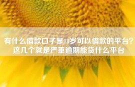 有什么借款口子是18岁可以借款的平台？这几个就是严重逾期能贷什么平台